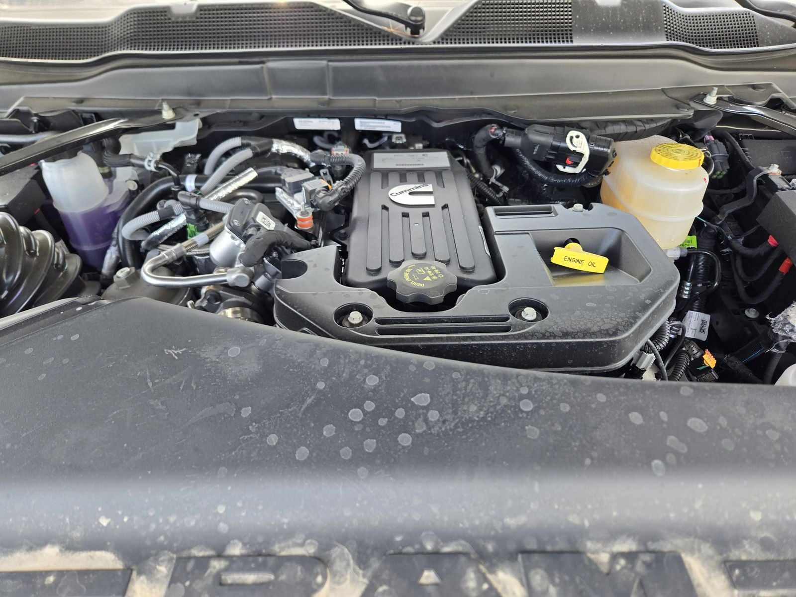 2025 RAM Ram 2500 Rebel