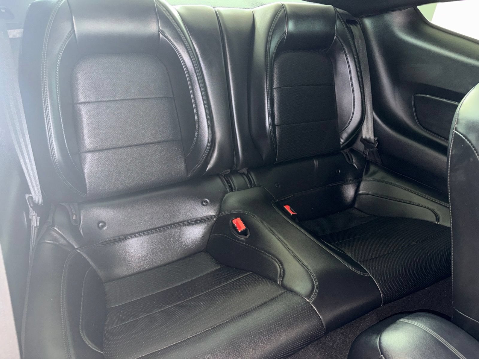 2019 Ford Mustang BULLITT