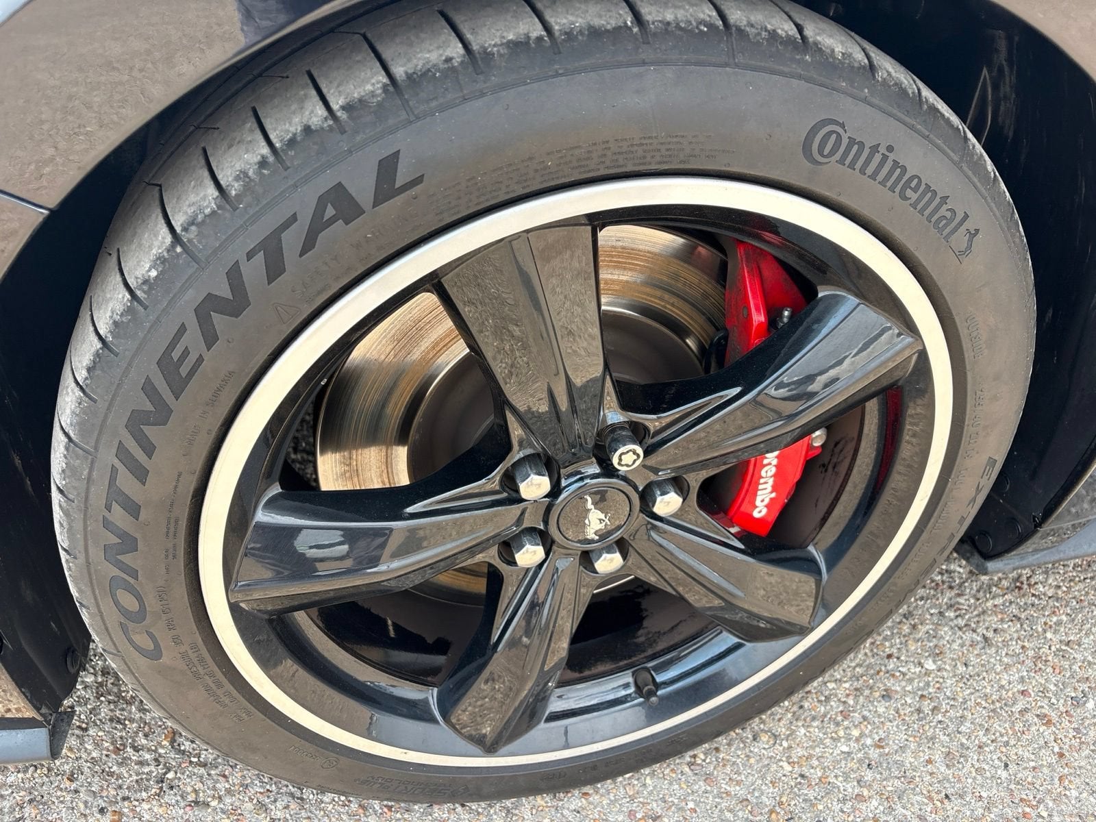 2019 Ford Mustang BULLITT